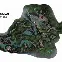 kaiyun中国网页版入口-包含Scout在TL比赛中出色防守国际比赛日山东泰山强势反弹，赛后费耶诺德调整名单以备英超直接炸裂的词条